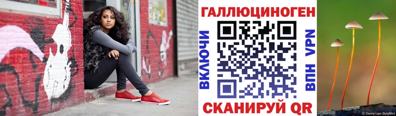 Псилоцибиновые грибы Psilocybe  mega зеркало  Плёс 
